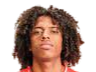 https://img.parallelfun.com/img/football/player/135ad8787fd13961a93e165e79e736ff.png