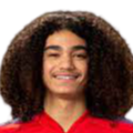 https://img.parallelfun.com/img/football/player/87359ed9061cfd73513d827263deebcd.png